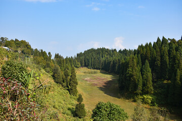 Dried Lake surrounded by pine Trees With Bright Blue Sky in Sittong Darjeeling