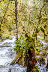 Wallace Falls State Park