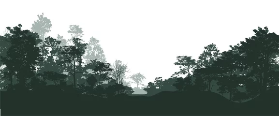 Bäume Silhouetten © enterphoto