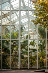 The view from outside in the sunlit greenhouse.