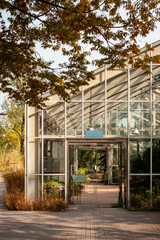 The entrance to the greenhouse where the autumn sun is shining.