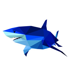 Shark vector