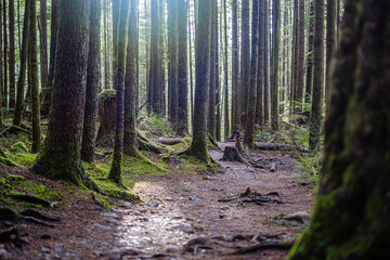 Wallace Falls State Park