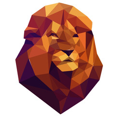 Creative lion head vector