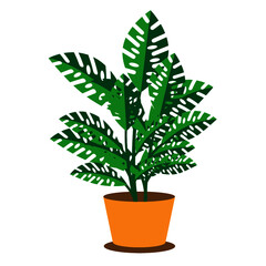 A pot of plant vector