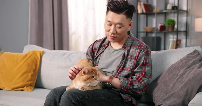 Portrait of handsome caring Asian man sitting on sofa in cozy living room and holding lovely fluffy cat in hands. Relaxed cute animal pet in owner's arms, pet lover, friend and family member, leisure