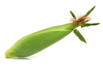 Corn on white background 