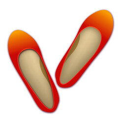 Women shoes vector