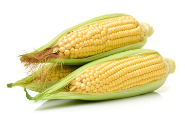 Corn on white background 