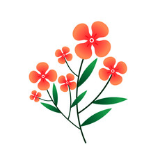 Flowers vector
