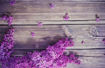 lilac on old wooden background