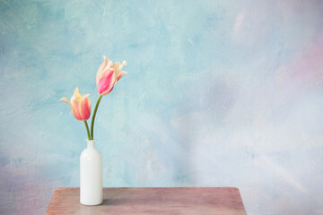 tulips in vase on blue background