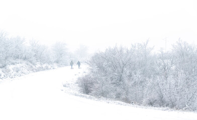 Fototapeta na wymiar Guys with a sleigh on a snowy mountain road
