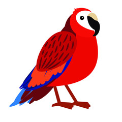Parrot vector design illustration