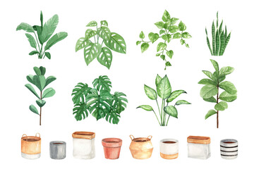 DIY watercolor indoor plant and pots perfect for card, sticker, wall decor and other print design
