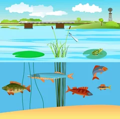 Tuinposter Natural wild landscape, river and lakes with fishes and other habitants, vector landscape © Massaget