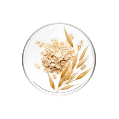 Pile of oatmeal and its plant on petri dish over white background