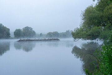 Der Main am Morgen