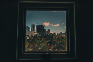window in the city miami florida views buildings trees palms sky clouds 