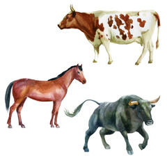 Watercolor illustration, bull, horse and cow. The symbol of the new year, animals on the farm. Watercolor drawing.