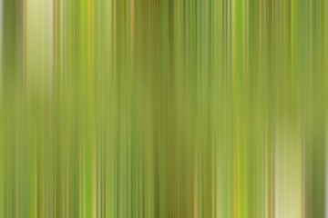 Obraz premium green gradient background / abstract blurry fresh green background