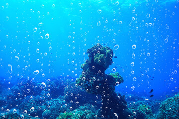 Fototapeta na wymiar background underwater air bubbles reef / abstract sea background, diving, nature, ocean