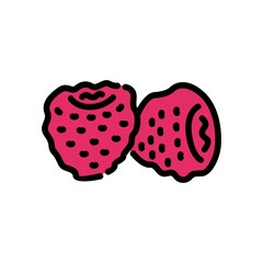 Raspberry vector icon isolated on white background. Hand drawn vector illustration