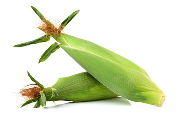 corn cob on white background