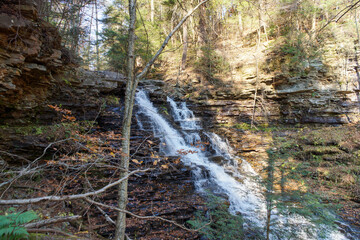 waterfall in the forest