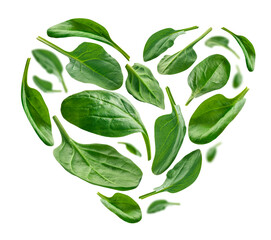 Green spinach leaves in the shape of a heart on a white background