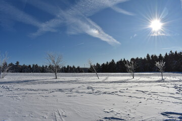 Winterlandschaft