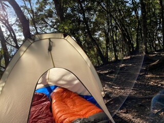 Look into a camping tent with colorful sleeping bags in mountain on sunny day, comfort is king when it comes to camping bags, and hikers top picks are a warm and cozy equipment for staying in mountain