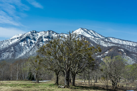「背後」の画像 954 件の Stock 写真、ベクターおよびビデオ Adobe Stock