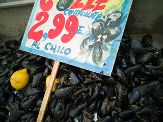 Mussels in open seamarket