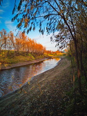 autumn in the forest