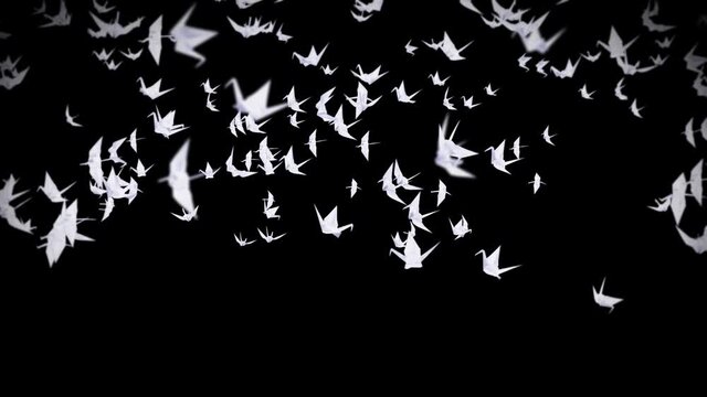 Flying many white origami cranes on black background. Beautiful origami floating in air. Peace concept. 3D loop animation of paper.
