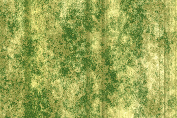 Fototapeta premium grungy wall texture