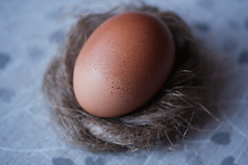 Top view of brown egg in nest. Shallow depth of field. Creative Easter Christian tradition concept
