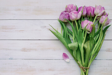 Spring flowers. Purple tulips on a white background. Mothers Day.