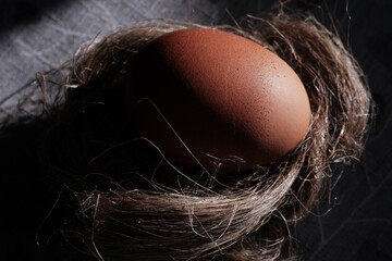 Brown egg in nest. Top view, hard shadows. Creative Easter Christian tradition concept