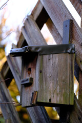 Ein alter Nistkasten wartet auf brutwillige Vögel