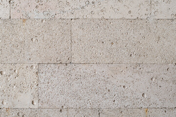 Textured wall lined with shell rock tiles.