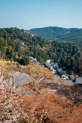 Panoramic view of Hasedera temple at spring in Nara, japan