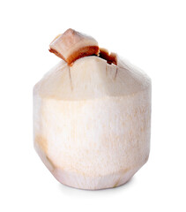 Fresh coconut on white background