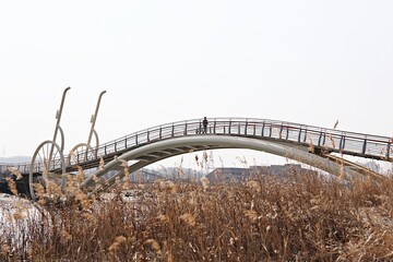 Fototapeta na wymiar 한국의시흥갯골생태공원의미생의다리입니다