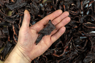 A man's hand demonstrates the quality of pet treats. Dried beef heart on the background.