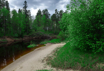 Fototapeta premium path in the forest