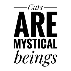 ''Cats are mystical beings'' Lettering