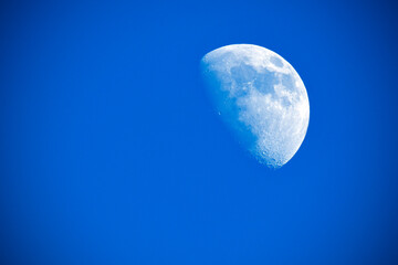 Crescent moon // Halbmond // Croissant // Halvemaan 21.02.2021