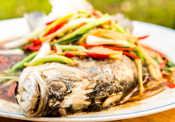 Steamed sea bass fish in plate , in door  Chiangmai  Thailand